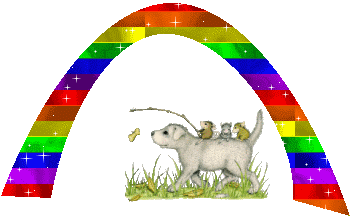 Regenbogen-mit-Hund.gif (45000 Byte)